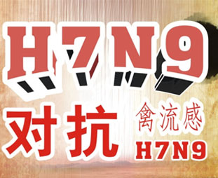 禽流感期間吃什么？預(yù)防禽流感吃什么好？