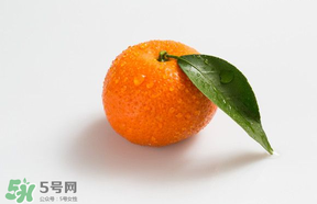 桔子批發(fā)多少錢一斤？桔子多少錢一斤？