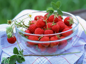 草莓多少錢一斤？草莓多少錢一斤2017？