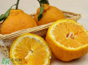 丑橘少錢一斤？丑橘一斤幾個(gè)？