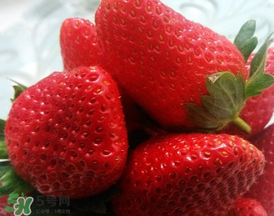 奶油草莓多少錢一斤？奶油草莓價格