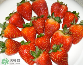 奶油草莓是什么品種？奶油草莓和巧克力草莓的區(qū)別 