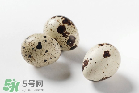 禽流感可以吃鵪鶉蛋嗎？禽流感期間能吃鵪鶉蛋嗎？