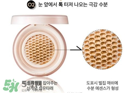 clio珂萊歐蜂巢水潤(rùn)氣墊多少錢(qián)?珂萊歐蜂巢氣墊價(jià)格