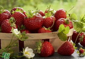 新鮮草莓怎么保鮮？新鮮草莓如何存放更久？