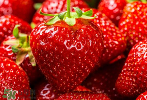 新鮮草莓怎么保鮮？新鮮草莓如何存放更久？