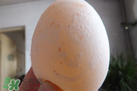 禽流感可以吃鴿子蛋嗎？禽流感期間能吃鴿子蛋嗎？