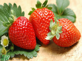 紅顏草莓為什么那么貴？紅顏草莓多少錢(qián)一斤？