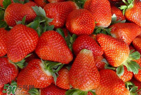 紅顏草莓為什么那么貴？紅顏草莓多少錢(qián)一斤？