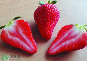 九九草莓多少錢一斤？99草莓價格是多少？