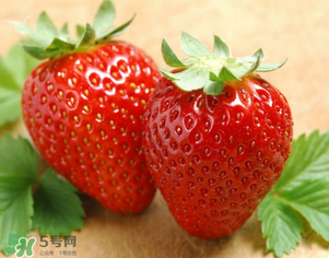 九九草莓好嗎？九九草莓和牛奶草莓區(qū)別 