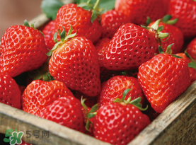 草莓空心能吃嗎？草莓空心怎么回事？