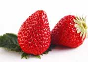 紅顏草莓為什么那么貴？紅顏草莓多少錢一斤？