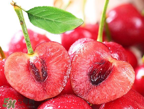 美早和大紅燈哪個(gè)好吃？美早和大紅燈的區(qū)別