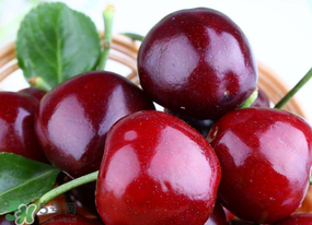 美早和黑珍珠哪個(gè)好吃？美早和黑珍珠的區(qū)別