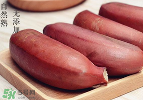 紅色香蕉和黃香蕉哪個好？紅香蕉和普通香蕉的區(qū)別