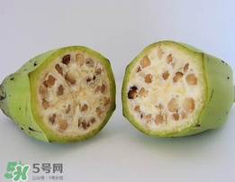 野香蕉可以吃嗎？野香蕉怎么吃？