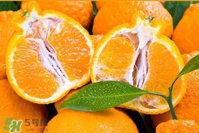 丑橘怎么挑？如何挑選正宗丑橘？