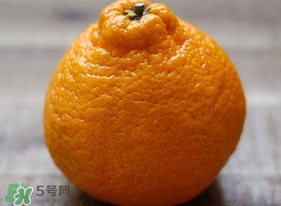 丑橘怎么挑？如何挑選正宗丑橘？