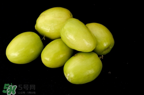 青棗什么時候上市？青棗什么時候成熟？