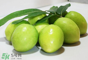 青棗什么時候上市？青棗什么時候成熟？