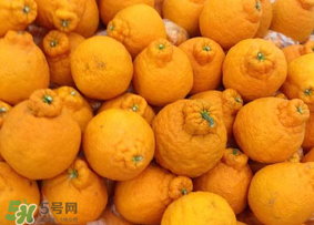 丑橘是轉(zhuǎn)基因嗎？丑八怪是轉(zhuǎn)基因的嗎？