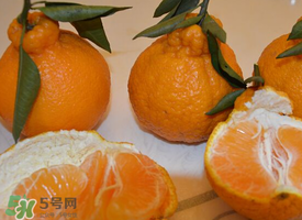 丑八怪水果上火嗎？丑八怪水果吃了降火嗎？