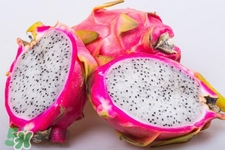 3月份有火龍果吃嗎？三月份可以吃火龍果嗎？