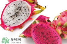 3月份有火龍果吃嗎？三月份可以吃火龍果嗎？