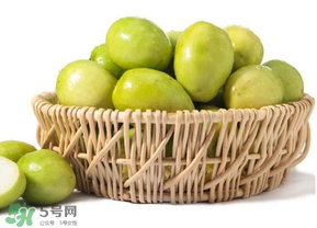 空腹吃青棗好嗎？青棗可以空腹吃嗎？