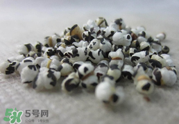 穿山甲下奶怎么吃？穿山甲下奶效果好嗎？