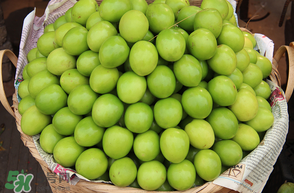  吃青棗有什么好處？吃青棗的好處和壞處