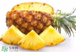 菠蘿批發(fā)多少錢一斤？菠蘿批發(fā)價格