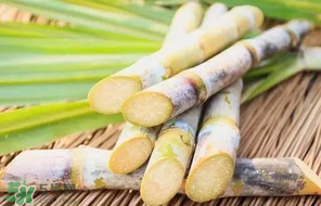 甘蔗要洗嗎？吃甘蔗時要用鹽水洗嗎？