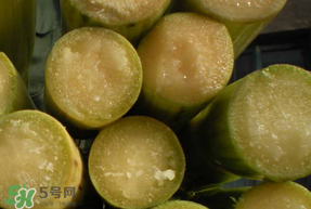 甘蔗要洗嗎？吃甘蔗時要用鹽水洗嗎？