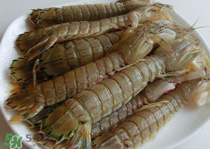 皮皮蝦多少錢一斤？皮皮蝦多少錢一斤2017？