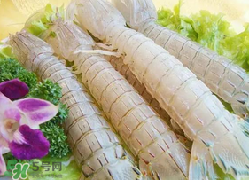 皮皮蝦為什么沒有肉？皮皮蝦為什么里面沒肉？