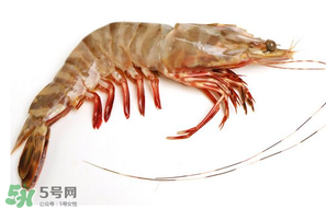 基圍蝦多少錢一斤？基圍蝦多少錢一斤2017？