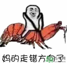說人皮皮蝦是什么意思？女生叫男生皮皮蝦什么意思？