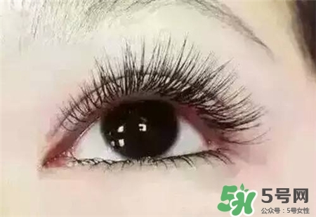 孕睫術(shù)是什么？孕睫術(shù)有用嗎？