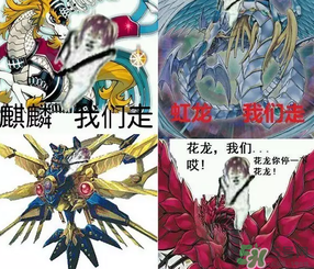 皮皮蝦為何突然火了？皮皮蝦怎么火的？