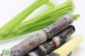 甘蔗發(fā)霉能吃嗎？吃了發(fā)霉的甘蔗怎么辦？