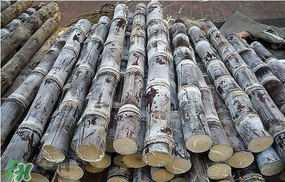 甘蔗發(fā)霉能吃嗎？吃了發(fā)霉的甘蔗怎么辦？