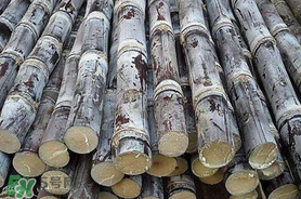 甘蔗里面發(fā)黑能吃嗎？甘蔗里面發(fā)黑是什么原因？