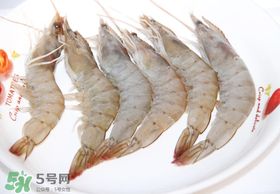 青蝦多少錢一斤？活青蝦多少錢一斤？