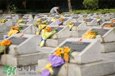 清明節(jié)能出游嗎？清明節(jié)可以出去旅游嗎？