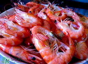 煮蝦用熱水還是冷水？白水煮蝦是冷水下鍋還是熱水下鍋好？