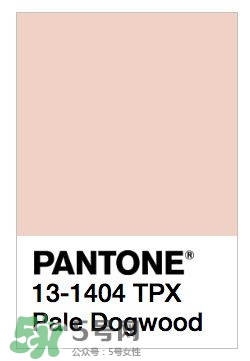 煙熏玫瑰色口紅哪個牌子好？煙熏玫瑰色口紅推薦