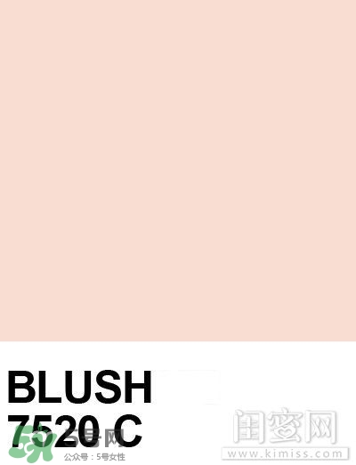 肉桂色口紅哪個牌子好？肉桂色口紅推薦