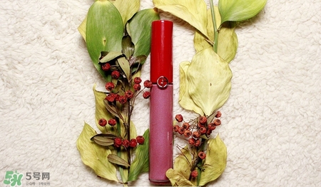 肉桂色口紅哪個牌子好？肉桂色口紅推薦